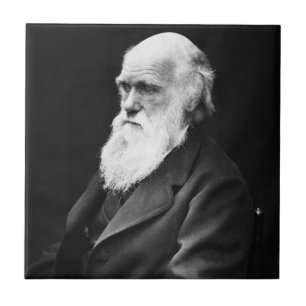 Charles Darwin Portrait Ceramic Tile