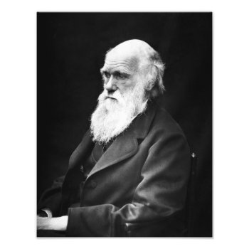 Charles Darwin Portrait Photo Print by Argos_Photography at Zazzle