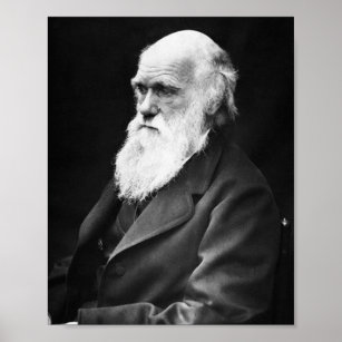 Charles Darwin Poster