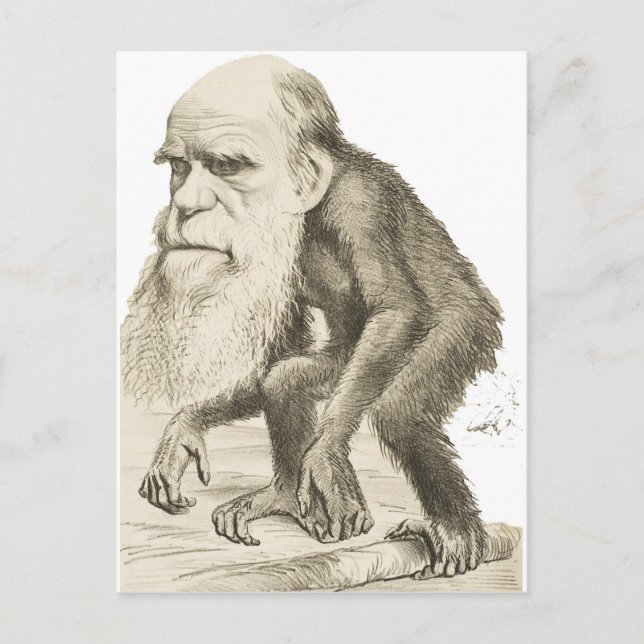 Charles Darwin the Monkey Man Postcard (Front)