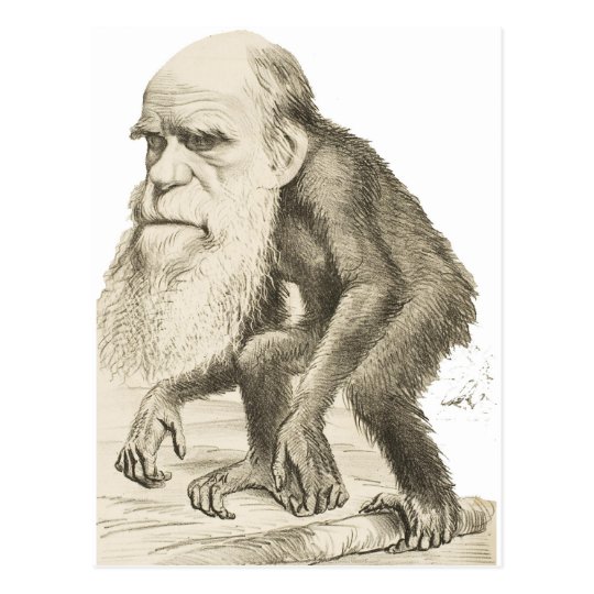 Charles Darwin the Monkey Man Postcard | Zazzle.com