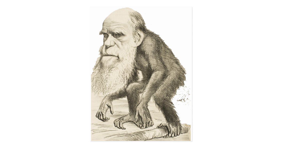 Charles Darwin the Monkey Man Postcard | Zazzle.com