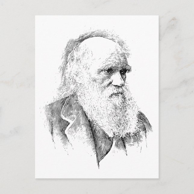 Charles Darwin, The Origin of Species 1872 Postcard (Front)