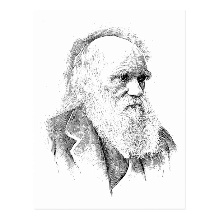 Charles Darwin, The Origin of Species 1872 Postcard | Zazzle.com
