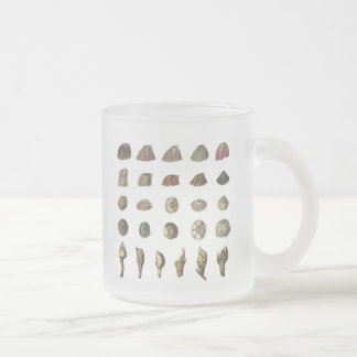 Charles Darwin's Barnacle Mug