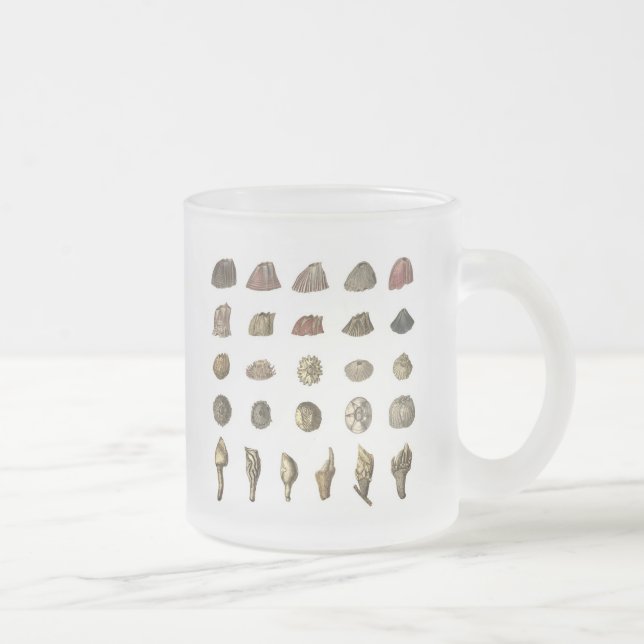Charles Darwin's Barnacle Mug (Right)