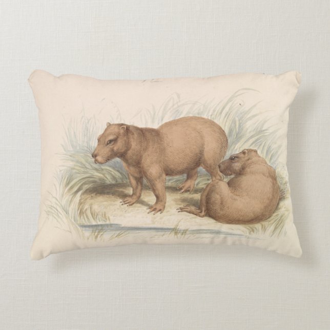 Charles Hamilton Smith - The Capybara Accent Pillow (Front)