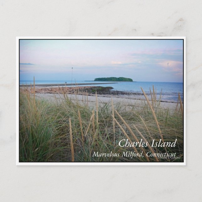 Charles Island Postcard (Front)