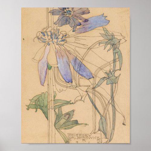 Charles Mackintosh Flower Drawing Poster