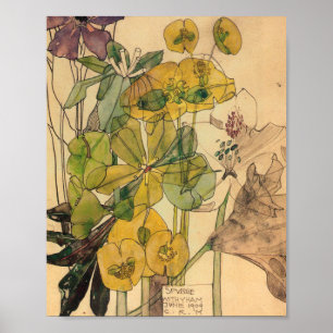 Charles Rennie Mackintosh - Spurge With Yham 1909 Poster