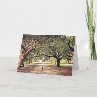 Charleston Gardens Greeting Card