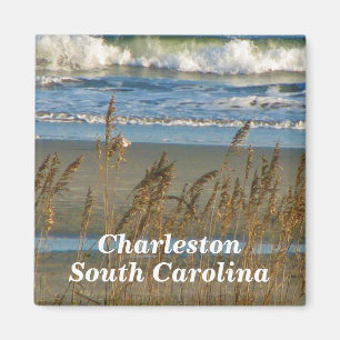 Charleston magnet