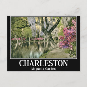 Charleston, Magnolia Gardens, Vintage Postcard