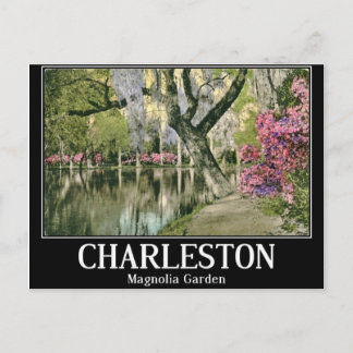 Charleston, Magnolia Gardens, Vintage Postcard