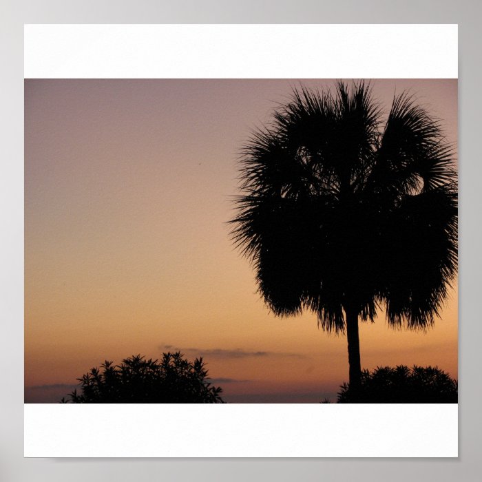 Charleston Palm Poster