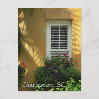 Charleston Pinckney St. Post Card