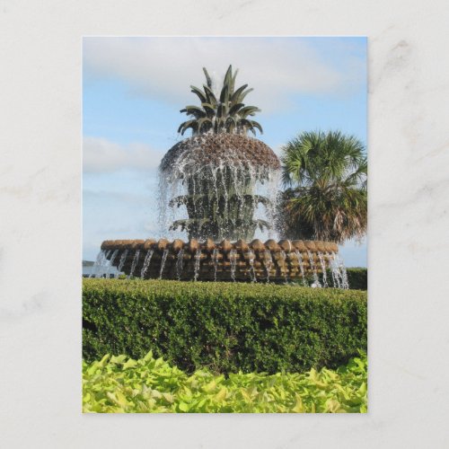 Charleston SC Pineapple Fountain Postcard