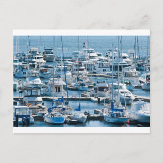 Charleston SC Postcard