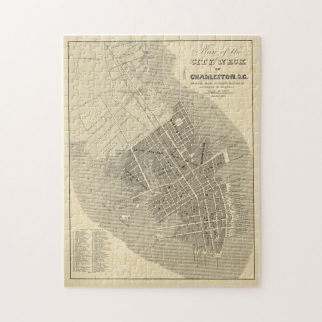 Charleston, South Carolina Jigsaw Puzzle (Vertical)