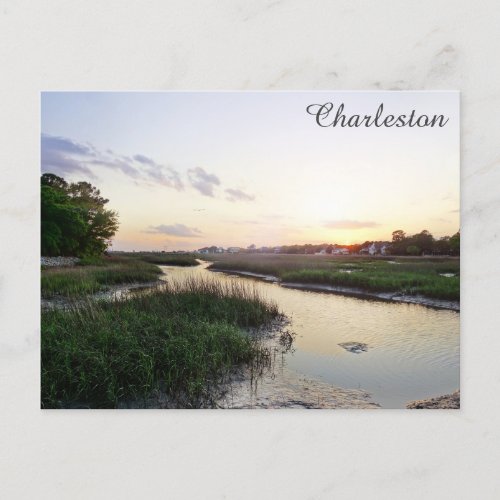 Charleston South Carolina Low Country Travel Photo Postcard