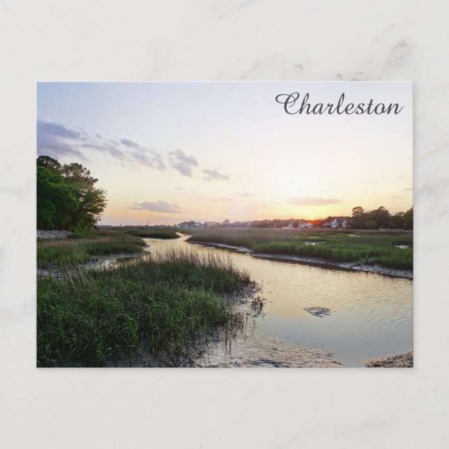 Charleston South Carolina Low Country Travel Photo Postcard (Front)