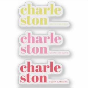 Charleston South Carolina modern pink yellow  Sticker