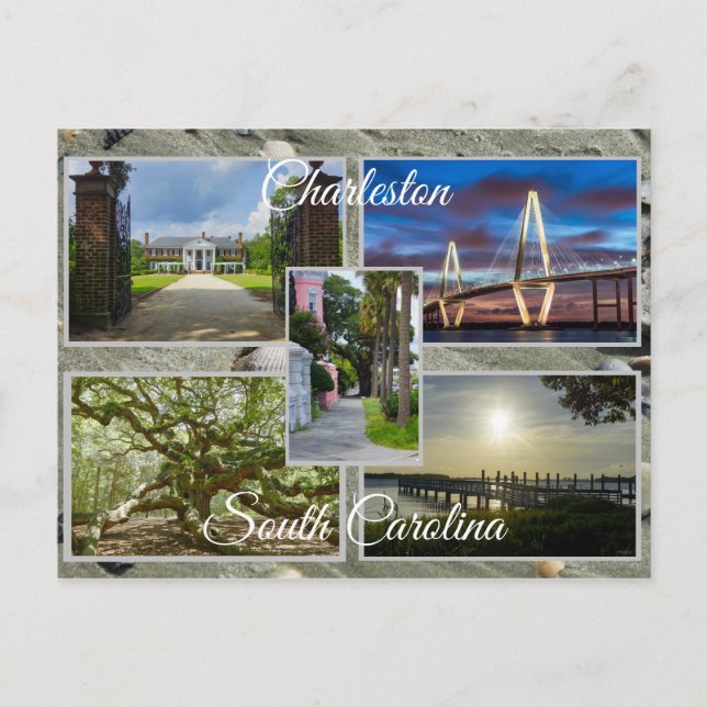 Charleston South Carolina Postcard (Front)