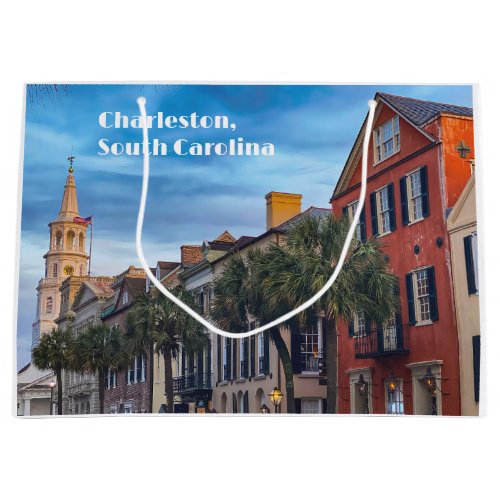 Charleston South Carolina Street Architecture  Large Gift Bag