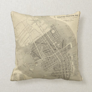 Charleston, South Carolina Throw Pillow