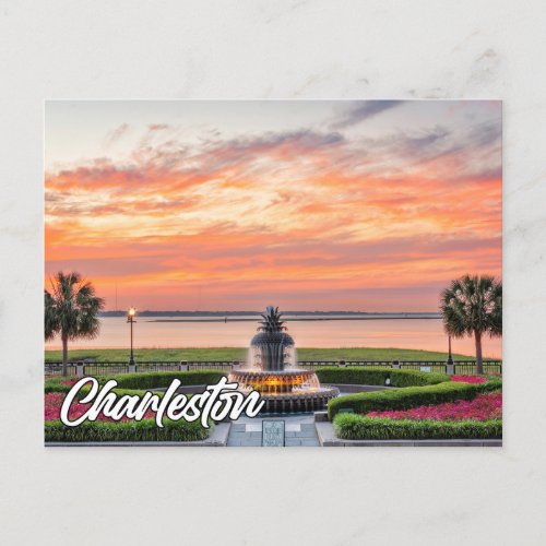 Charleston South Carolina USA Postcard