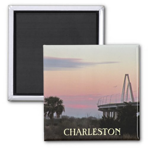 Charleston Souvenir Photo Magnet