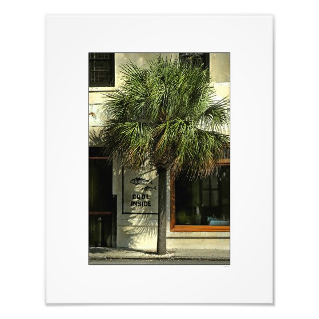 Charleston Street with Palmetto Tree Photo Print (Front)