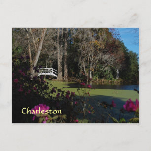 Charleston Swamp Garden Postcard