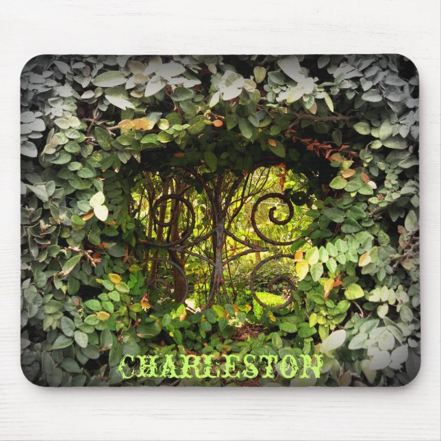 Charleston View Mouse Pad (Front)
