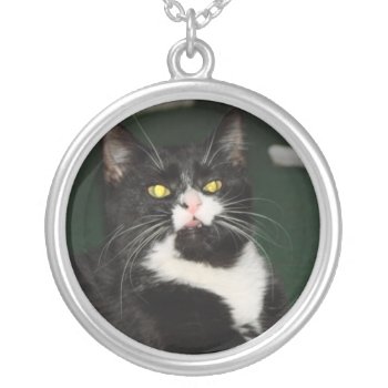 Charli Cat Attitude Silver Plated Necklace by bonfirecats at Zazzle