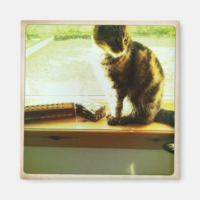 Charlie At The Window Magnet (Front)