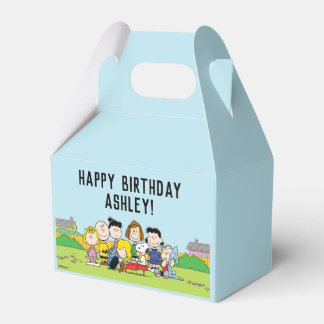  Charlie Brown and Gang Birthday Favor Boxes