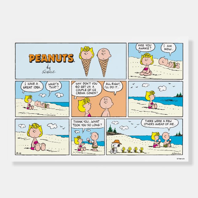 Charlie Brown & Sally Ice Cream At The Beach Foam Board (Front)