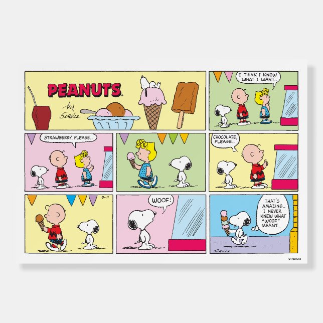Charlie Brown, Snoopy & Sally | Ice Cream Foam Board (Front)