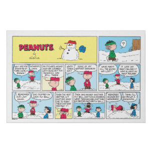 Charlie Brown's Baseball Memories Faux Canvas Print