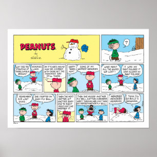 Charlie Brown's Baseball Memories Poster