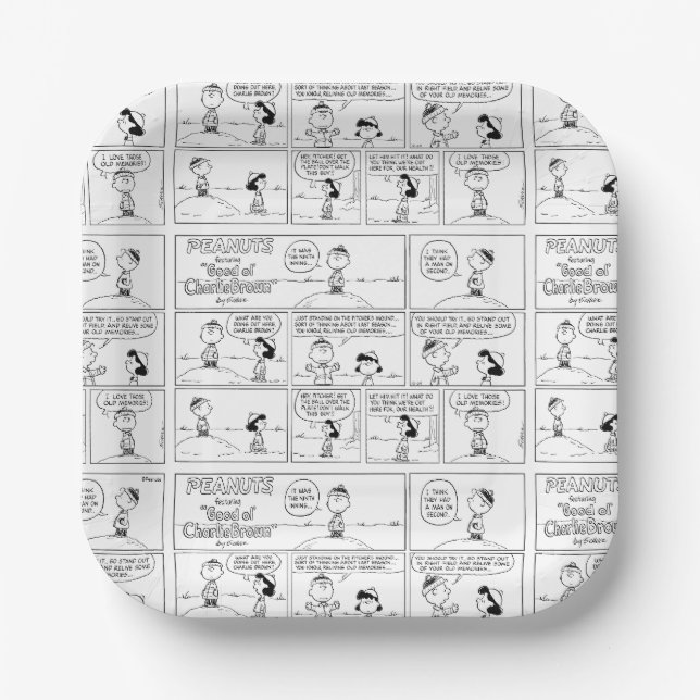 Charlie Brown's Memories At The Pitcher's Mound Paper Plates (Front)