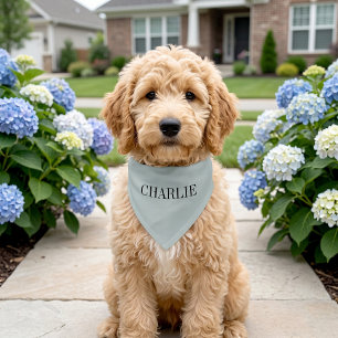 Charlie Classic Name Monogram Light Blue Pet Bandana Collar