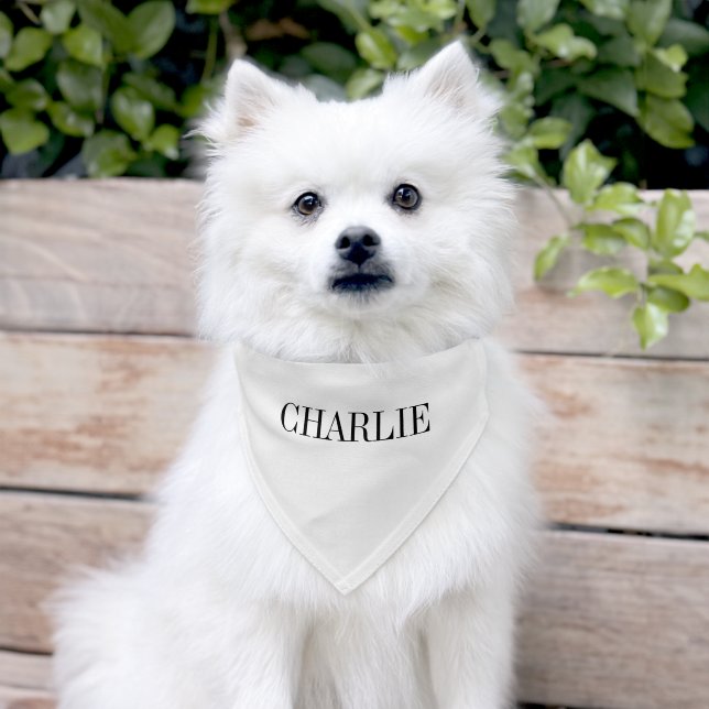 Charlie Classic Name Monogram | White Pet Bandana Collar (Dog)
