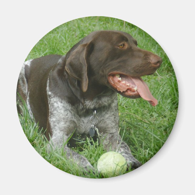 Charlie Magnet (Front)