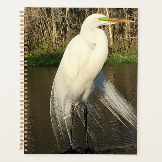 Charlie Planner (Front)