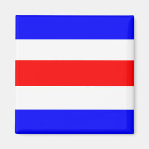 Charlie Red White Blue Magnet