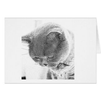 Charlie: Sketch from photo of a British Blue cat Cards