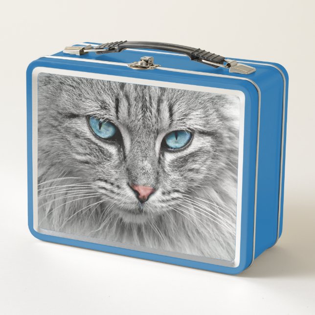Charlie the Cat  Metal Lunch Box (Front)