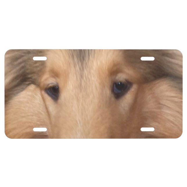 Charlie the Dog License Plate (Front)